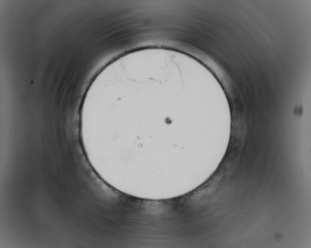 X0000101140807200807071124