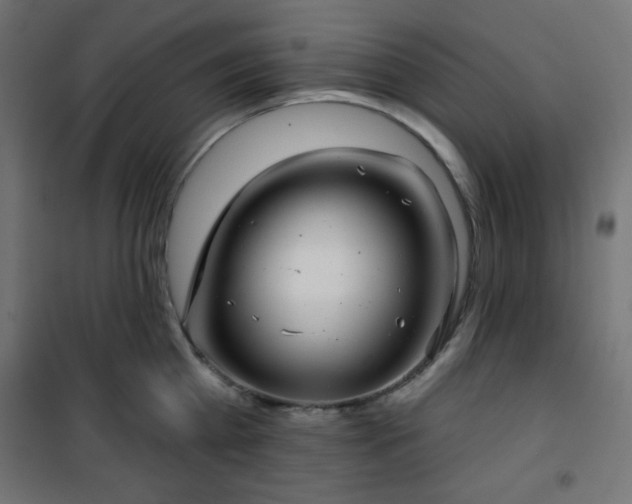 X0000101140809200807071124