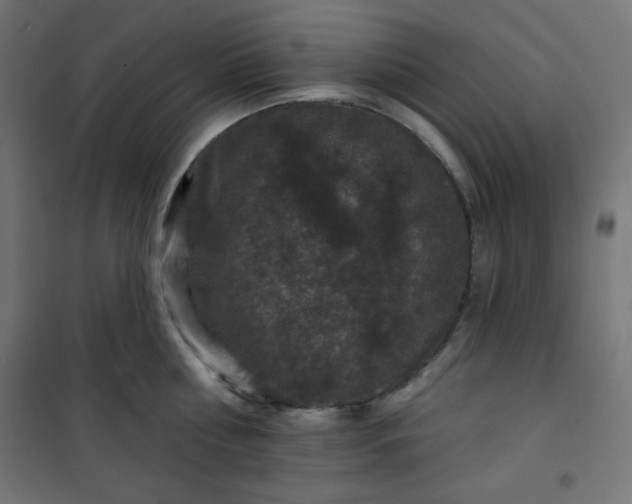 X0000101140810200807071124