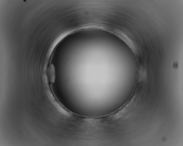 X0000101140812200807071124