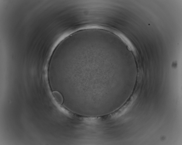 X0000101140813200807071124