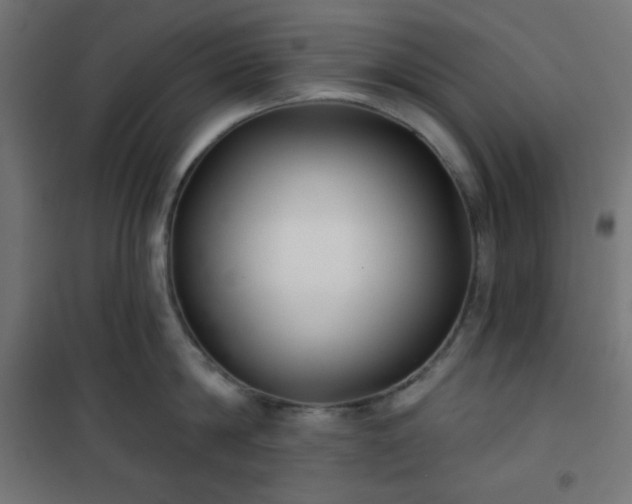 X0000101140814200807071124