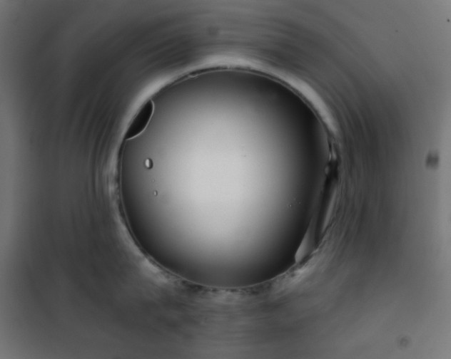 X0000101140815200807071124