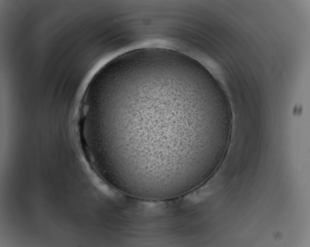 X0000101140816200807071124