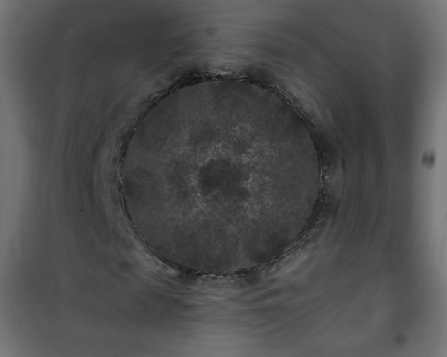 X0000101140817200807071124