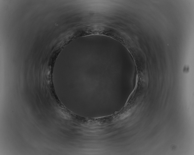 X0000101140818200807071124