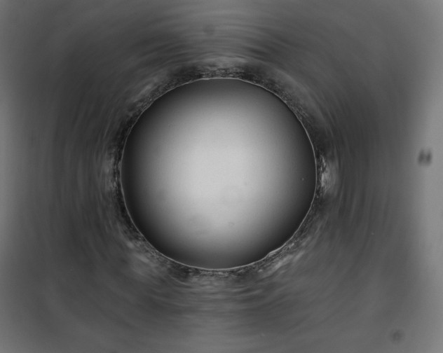 X0000101140819200807071124