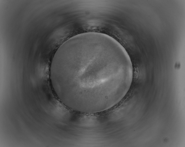 X0000101140820200807071124