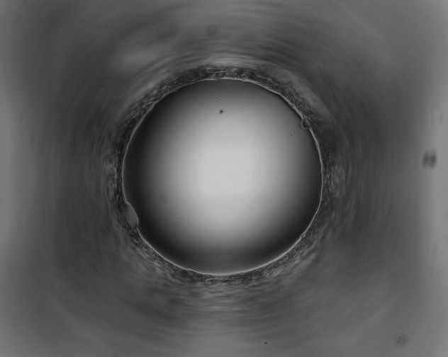 X0000101140821200807071124