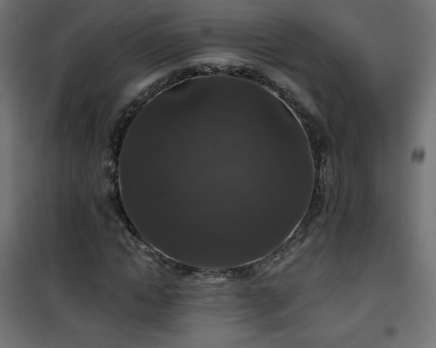 X0000101140822200807071124