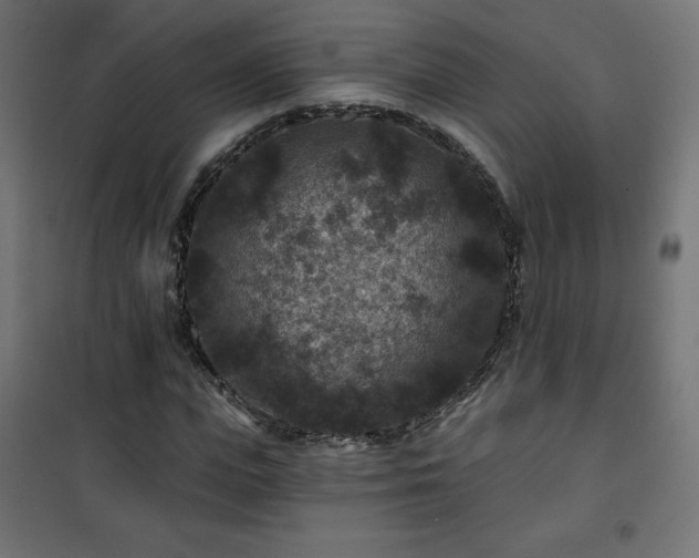 X0000101140823200807071124