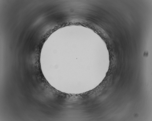 X0000101140824200807071124