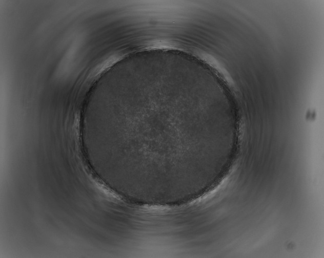 X0000101140825200807071124