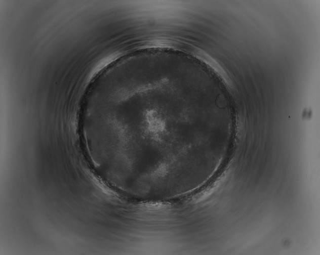 X0000101140826200807071124