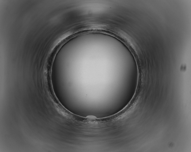 X0000101140827200807071124