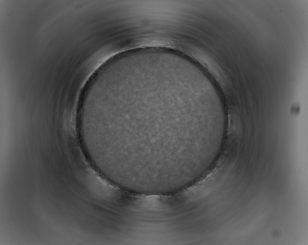 X0000101140828200807071124