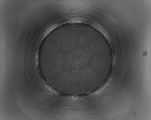 X0000101140829200807071124