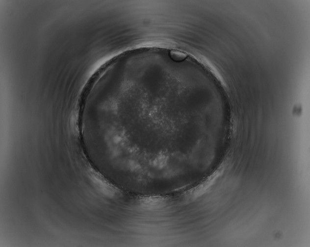 X0000101140830200807071124