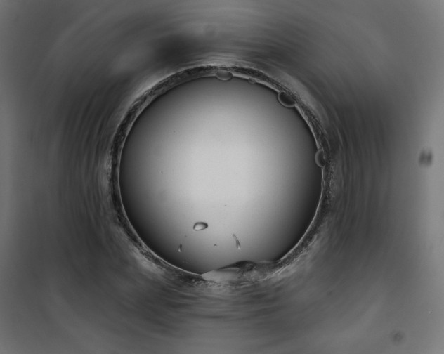 X0000101140831200807071124