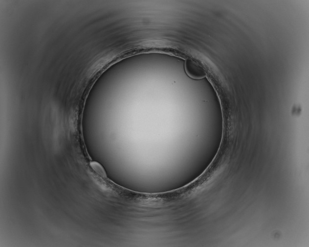 X0000101140833200807071124