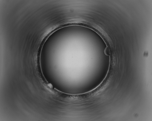 X0000101140834200807071124