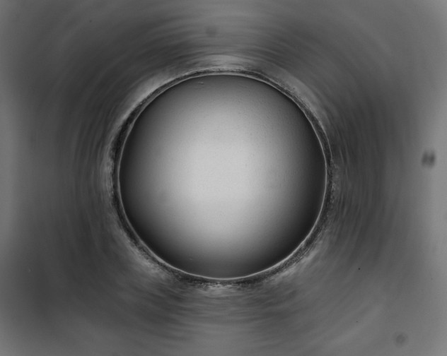 X0000101140835200807071124