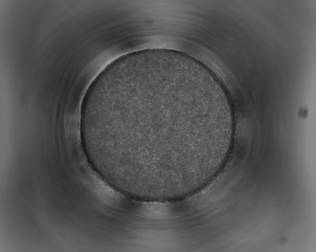 X0000101140836200807071124