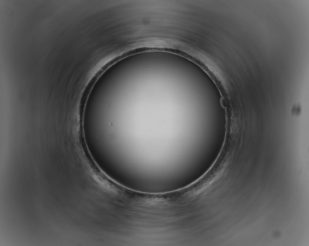 X0000101140837200807071124