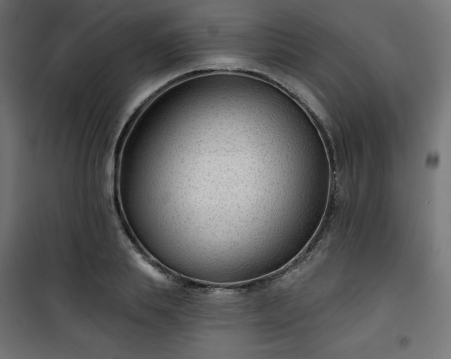 X0000101140839200807071124