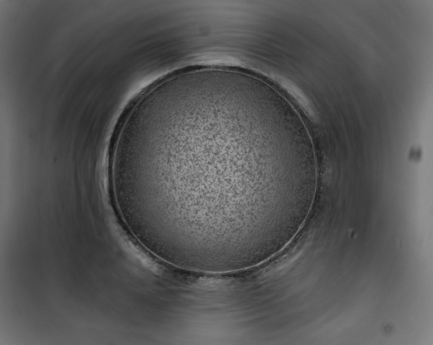 X0000101140840200807071124