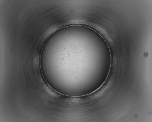 X0000101140841200807071124