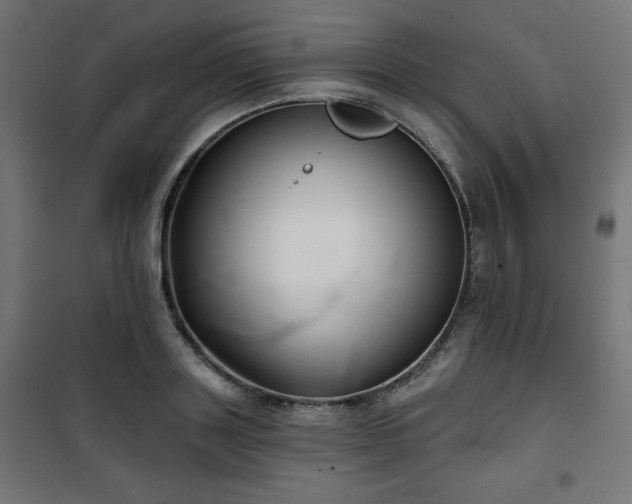 X0000101140843200807071124