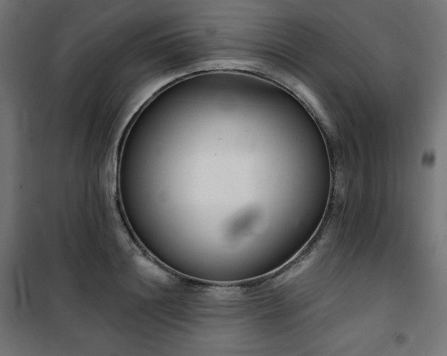 X0000101140844200807071124