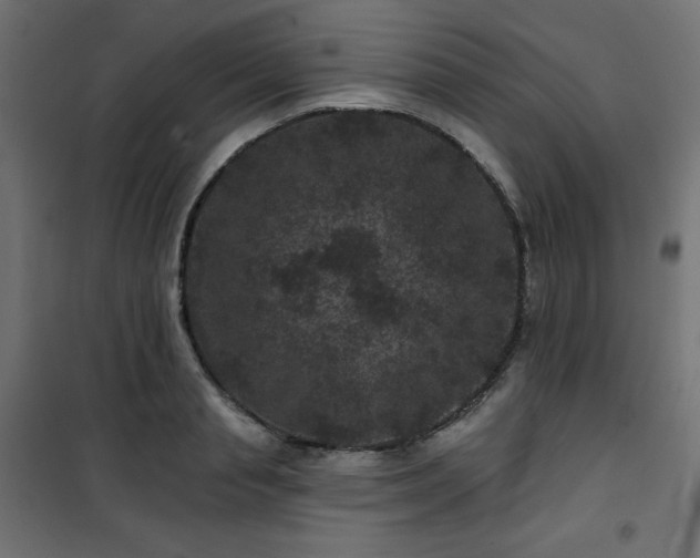 X0000101140845200807071124