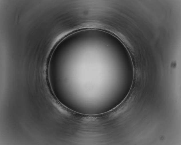 X0000101140846200807071124