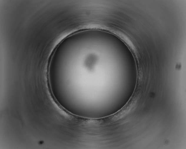 X0000101140847200807071124