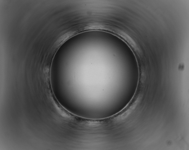 X0000101140849200807071124