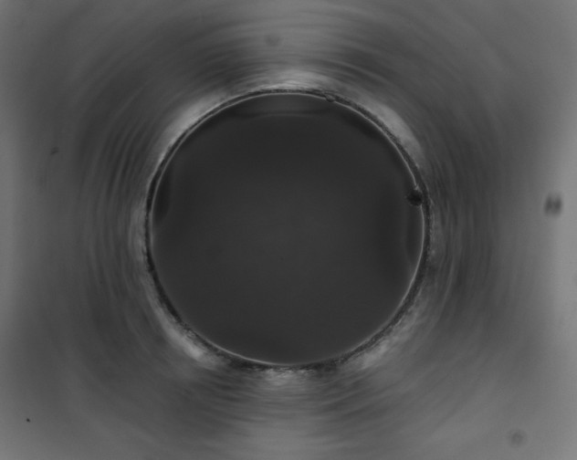 X0000101140850200807071124