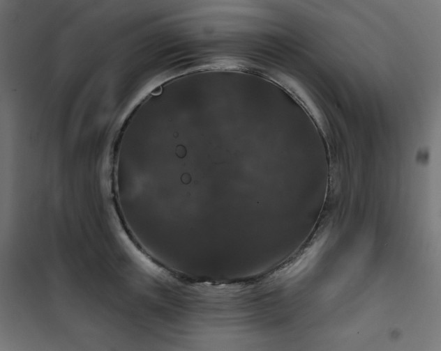 X0000101140851200807071124