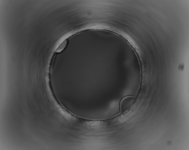 X0000101140853200807071124