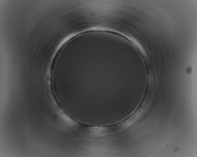 X0000101140854200807071124