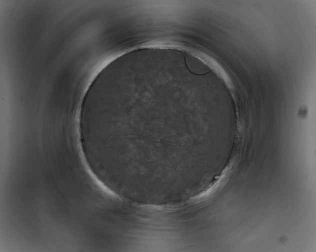 X0000101140855200807071124