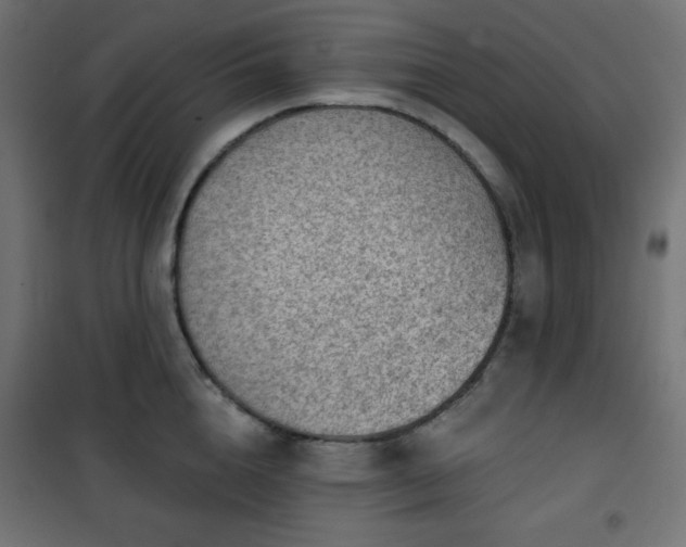 X0000101140856200807071124