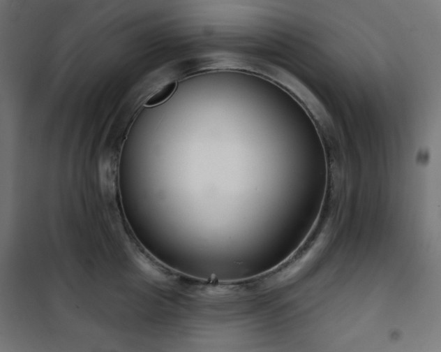 X0000101140857200807071124