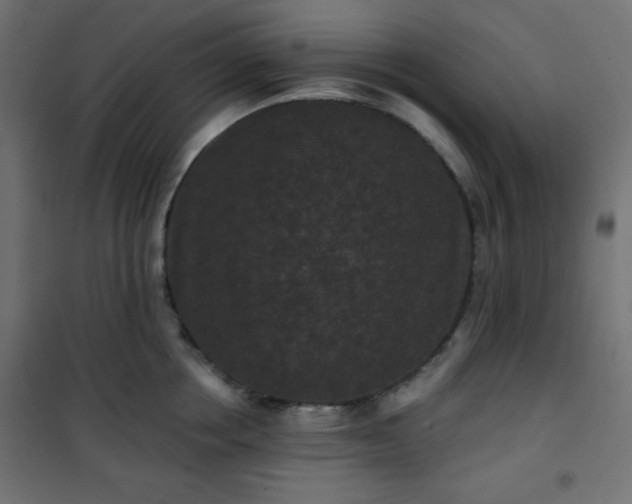 X0000101140858200807071124