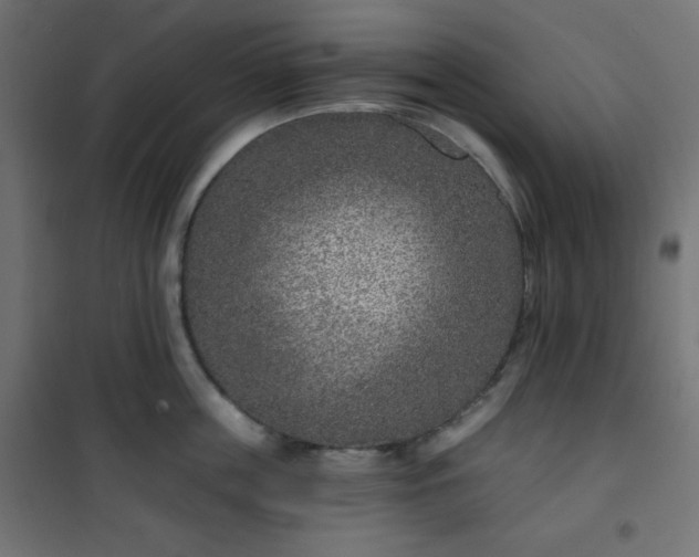 X0000101140859200807071124