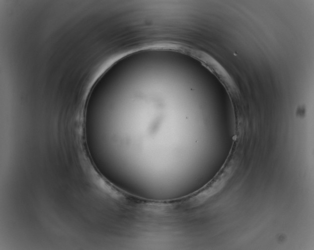 X0000101140860200807071124