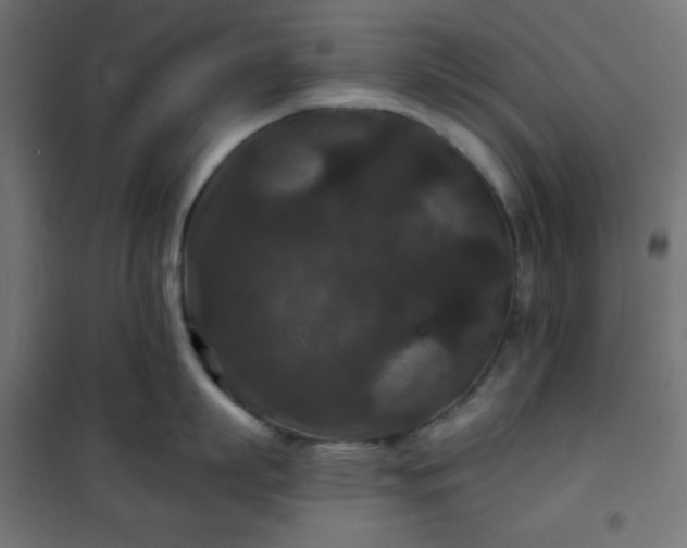 X0000101140863200807071124