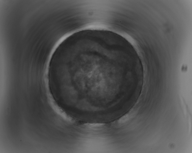 X0000101140864200807071124