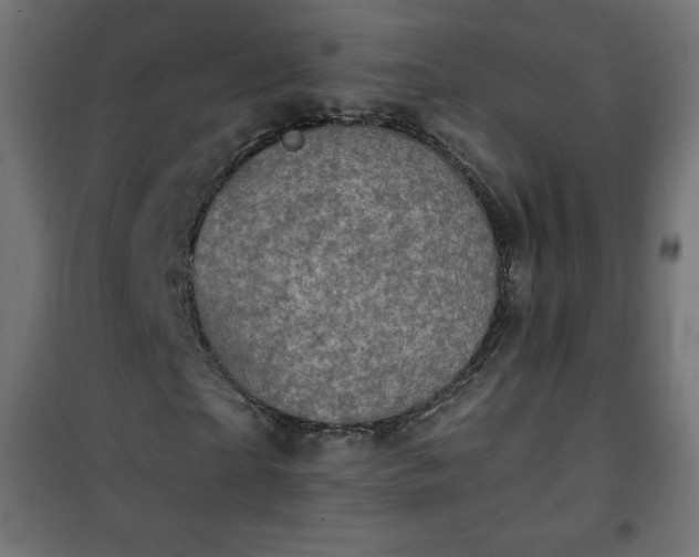 X0000101140865200807071124